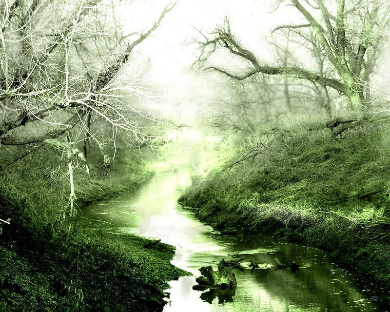 Mystical green forest stream