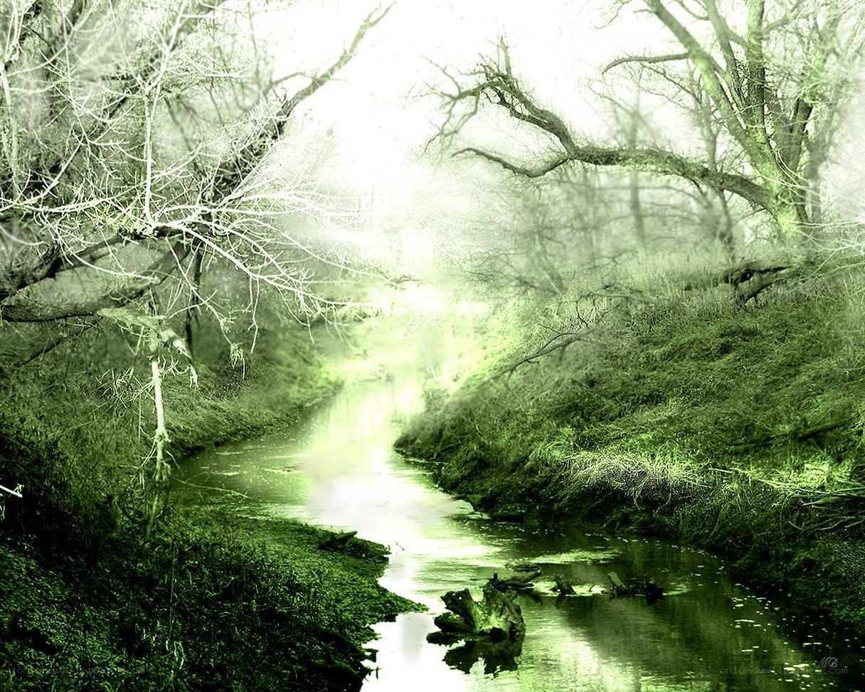 Mystical green forest stream