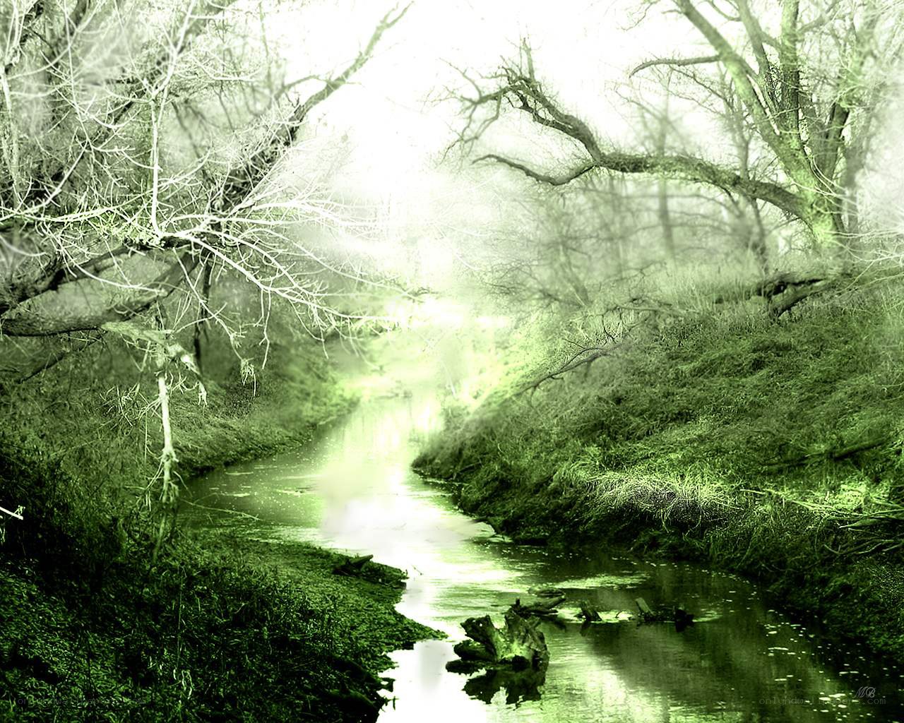 Mystical green forest stream