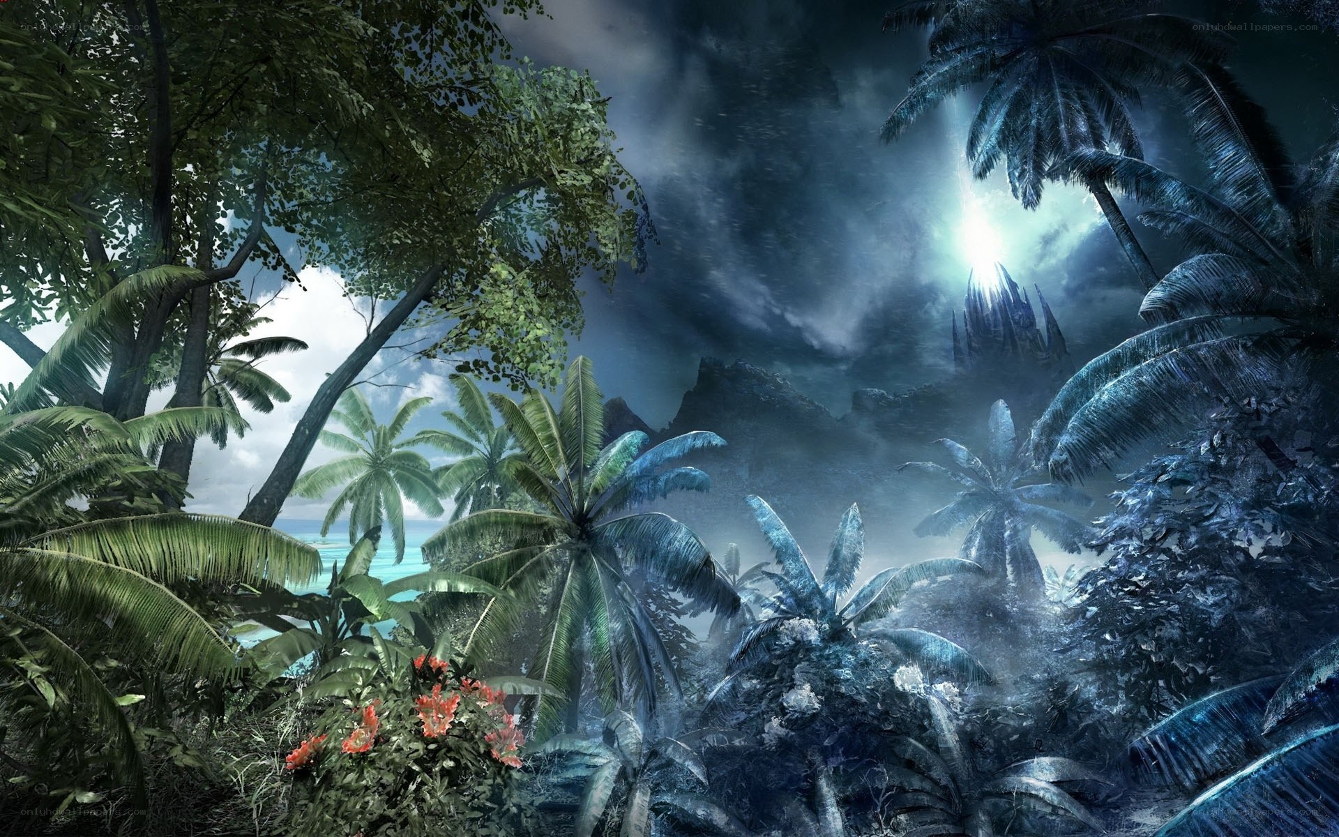 mystical jungle at night