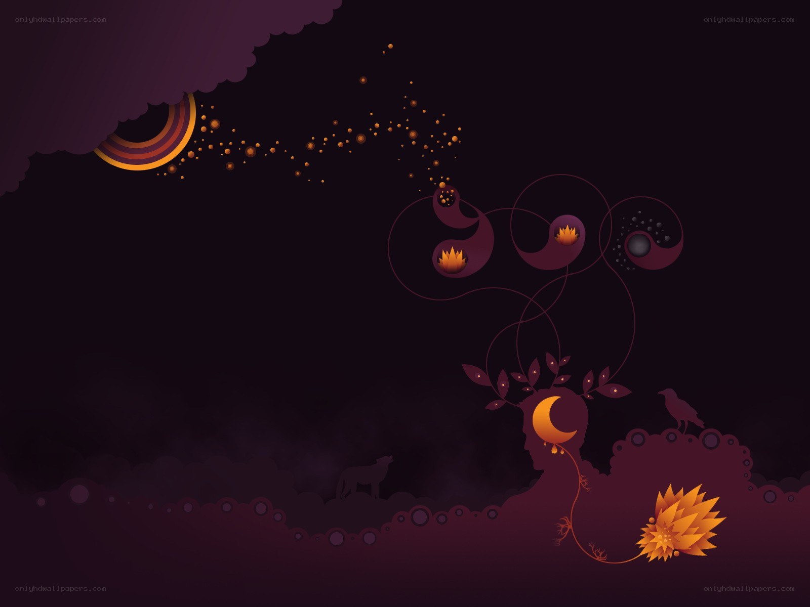 mystical night garden