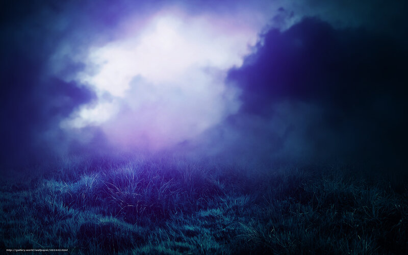 Mystical purple field