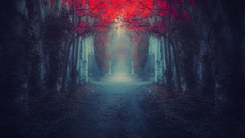 mystical red-leafed forest path