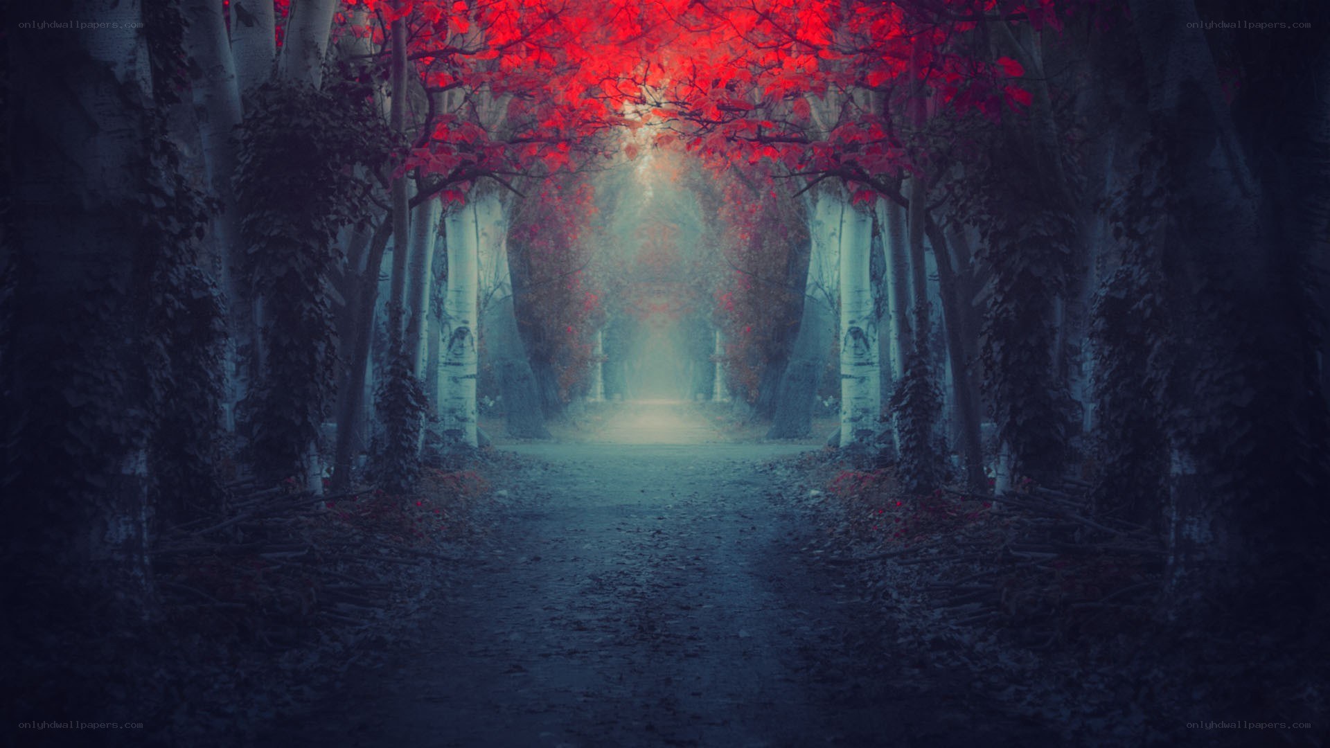 mystical red-leafed forest path
