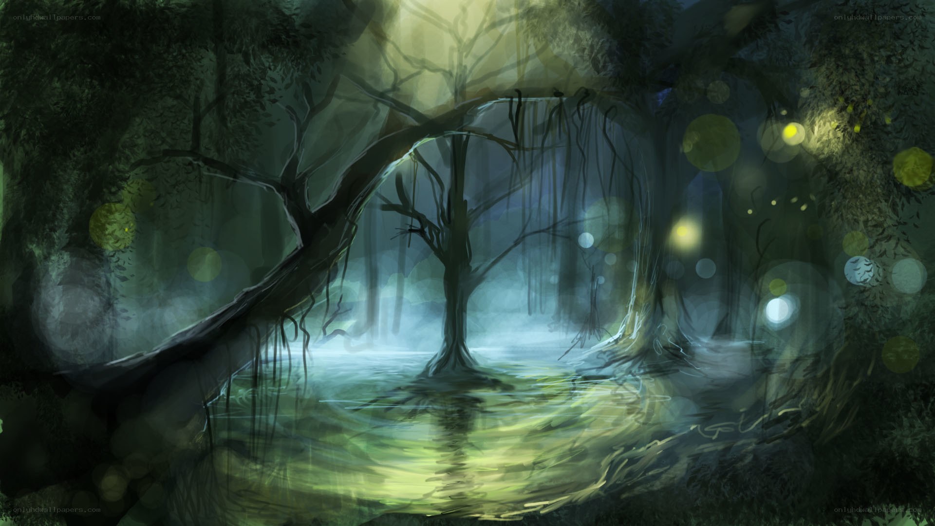 mystical swamp at night
