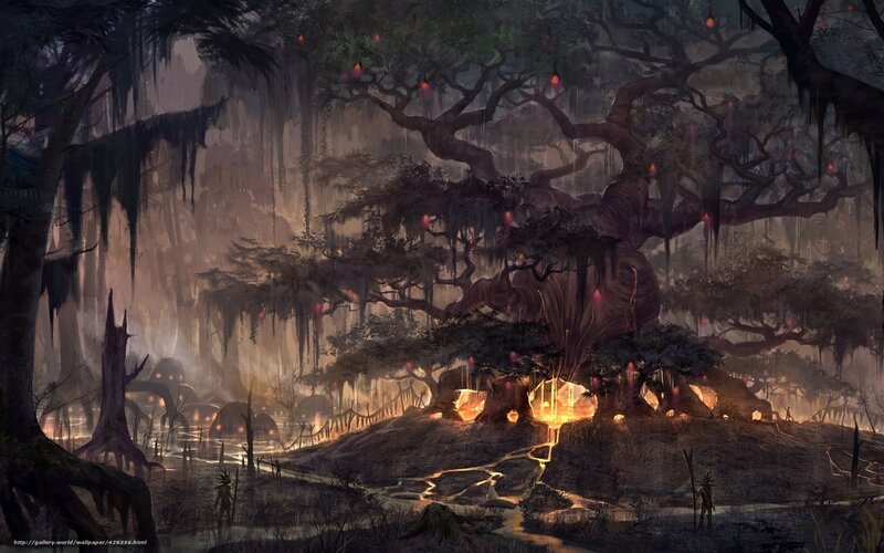 mystical swamp forest
