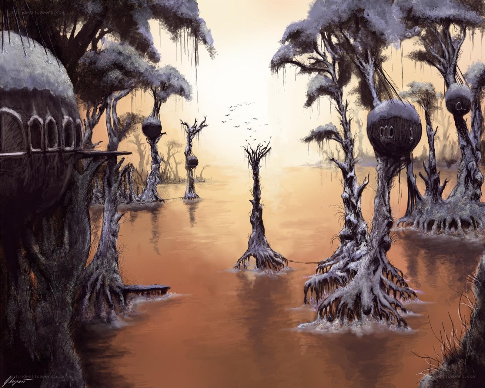 mystical swamp landscape