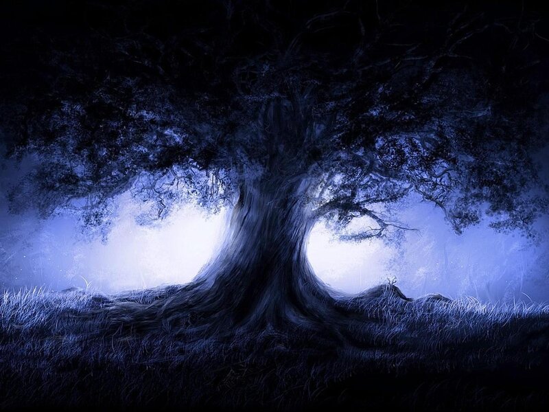 Mystical tree at night