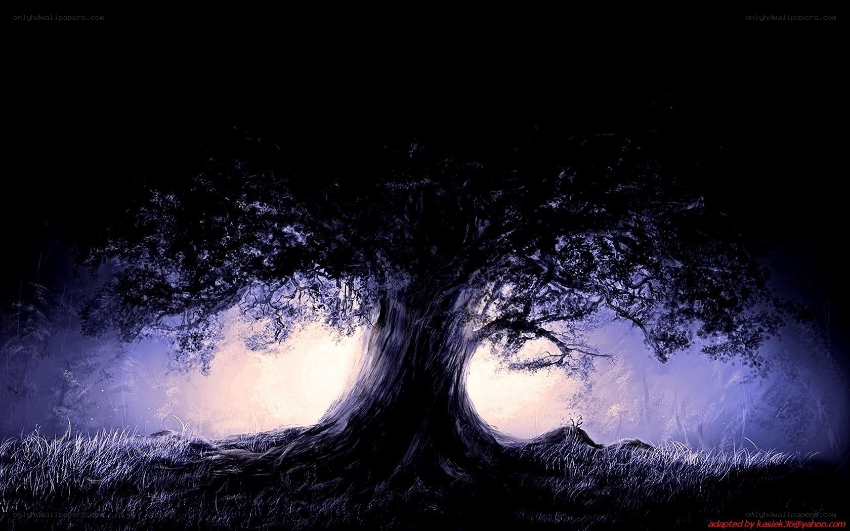 Mystical tree at night