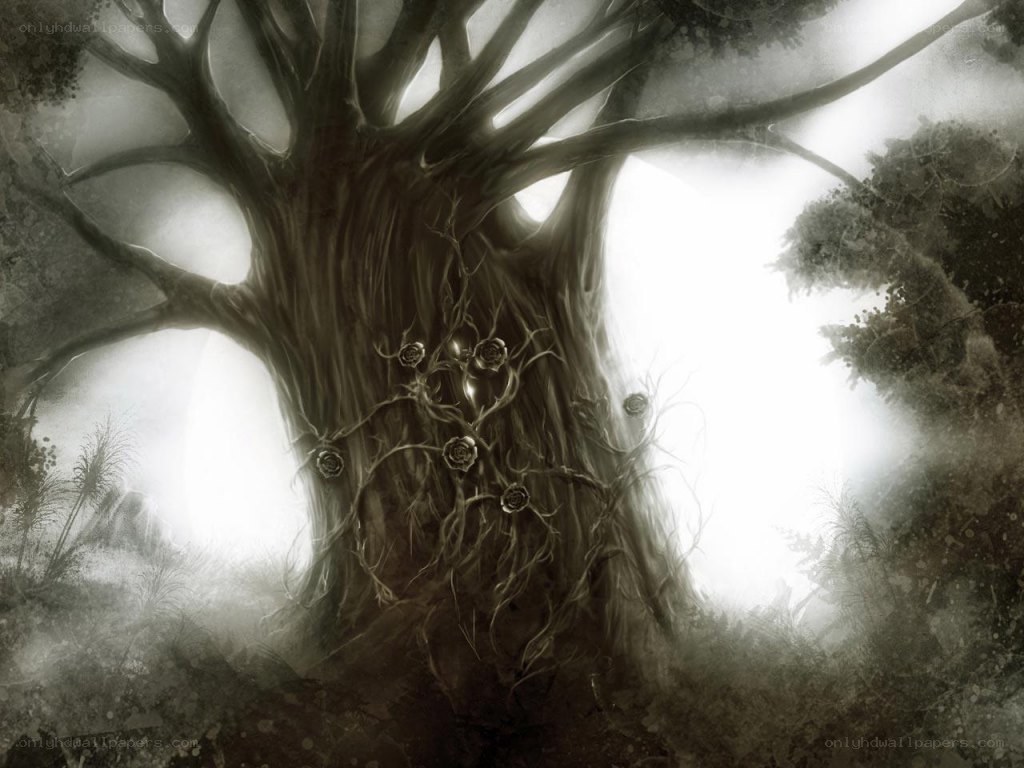 mystical tree in fog
