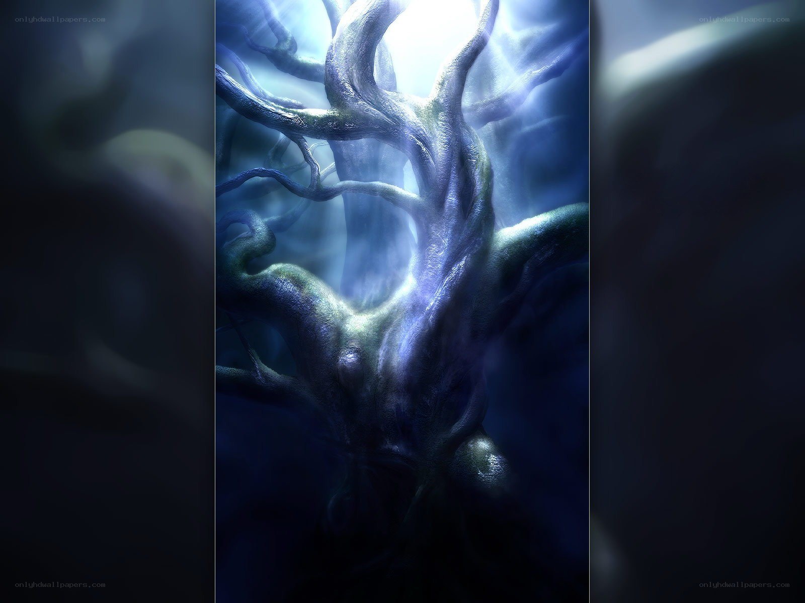 mystical tree in glowing light