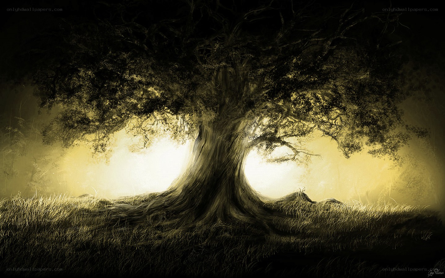 Mystical tree in golden light