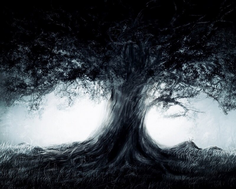 Mystical tree in mist