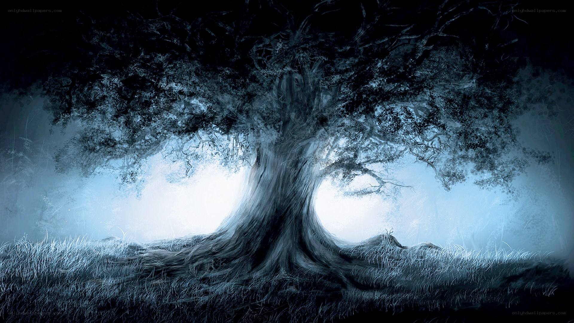 mystical tree in mist