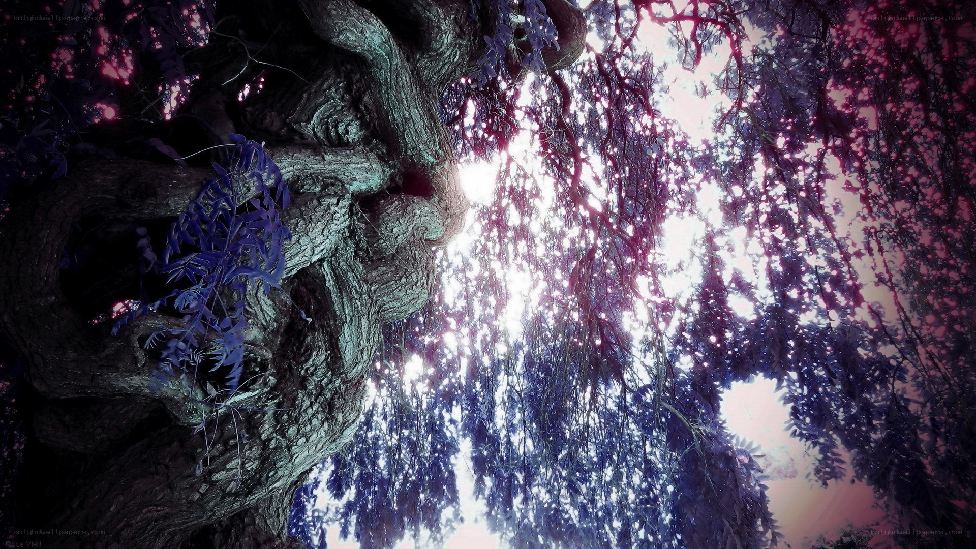 mystical tree with glowing leaves