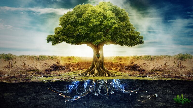 Mystical tree with glowing roots