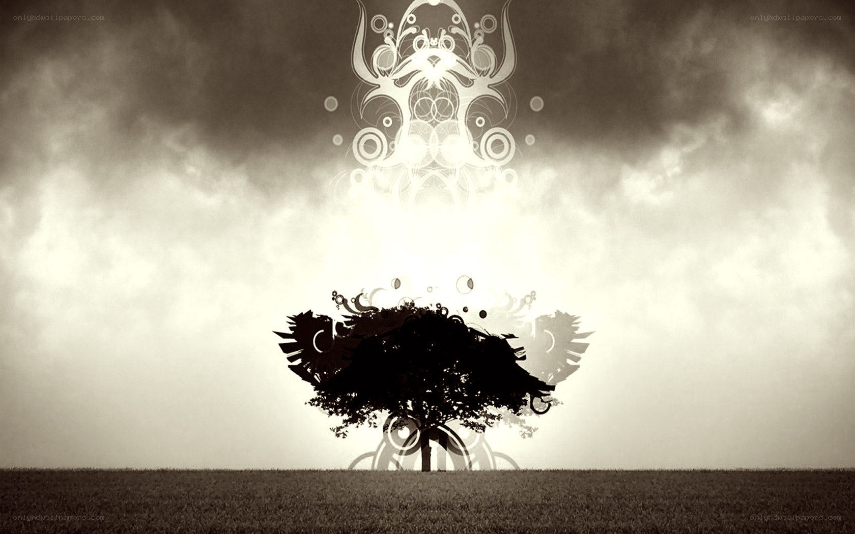 mystical tree with glowing symbol