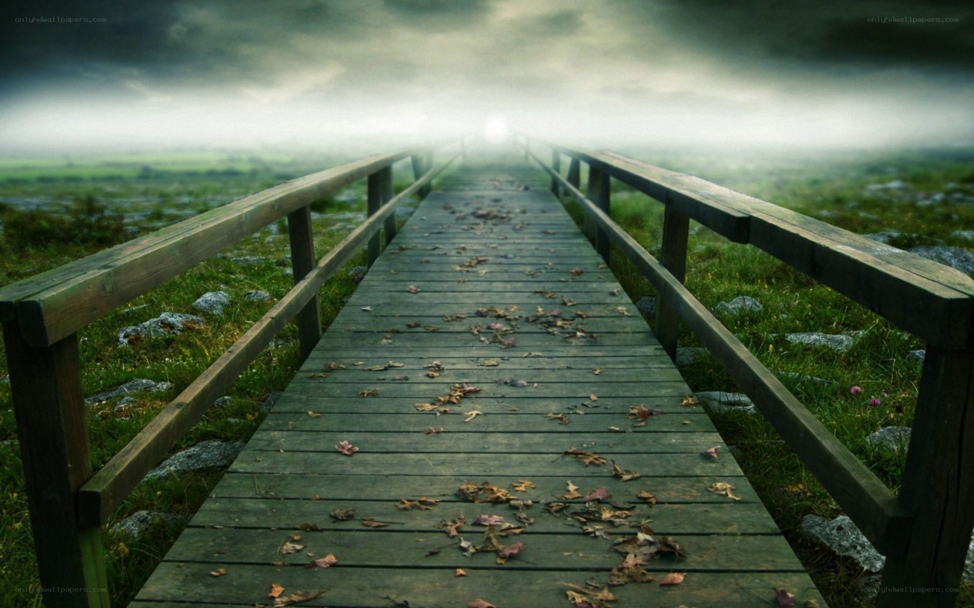 Mystical wooden bridge