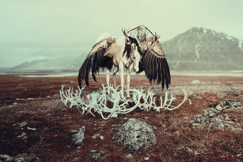 Mythical Winged Horse — Brown