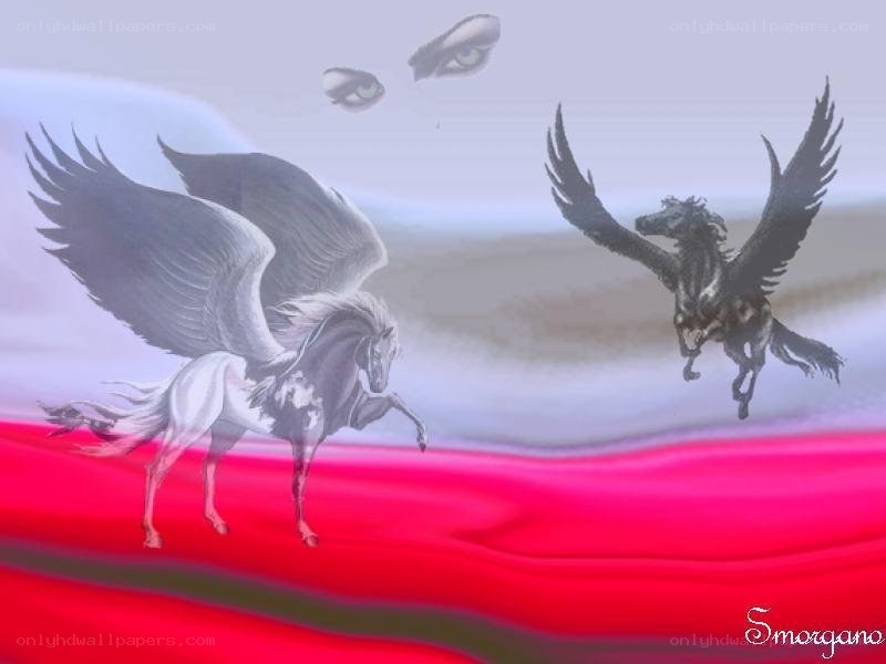 Mythical winged horses in flight