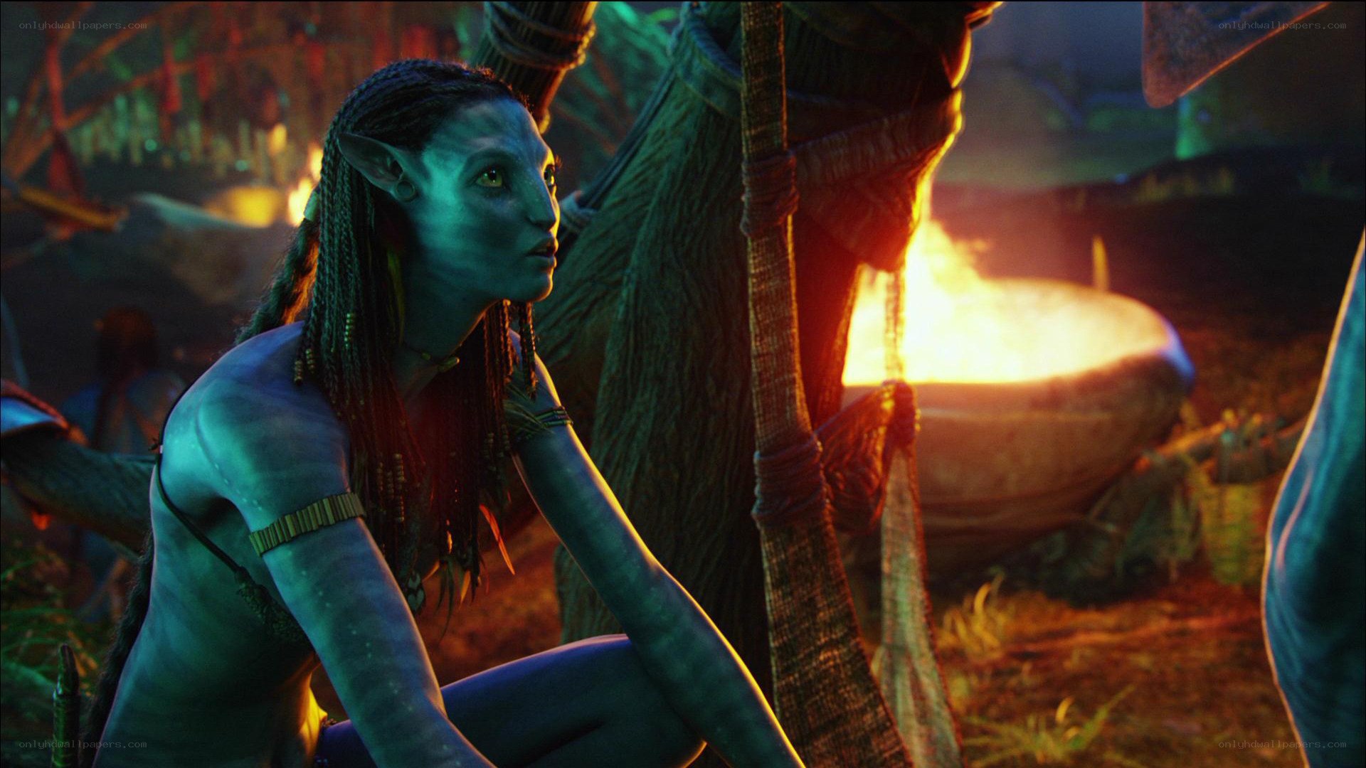 Na'vi character by fire