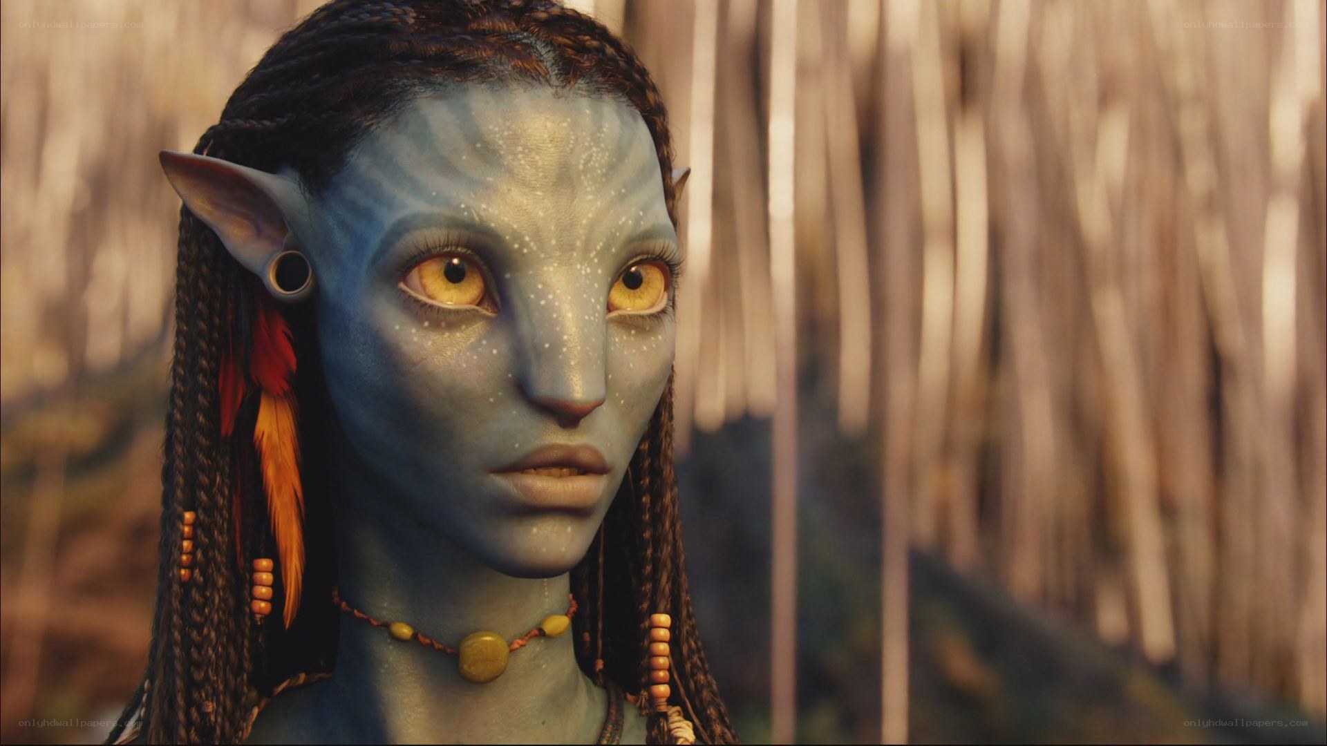 Na'vi character from Avatar