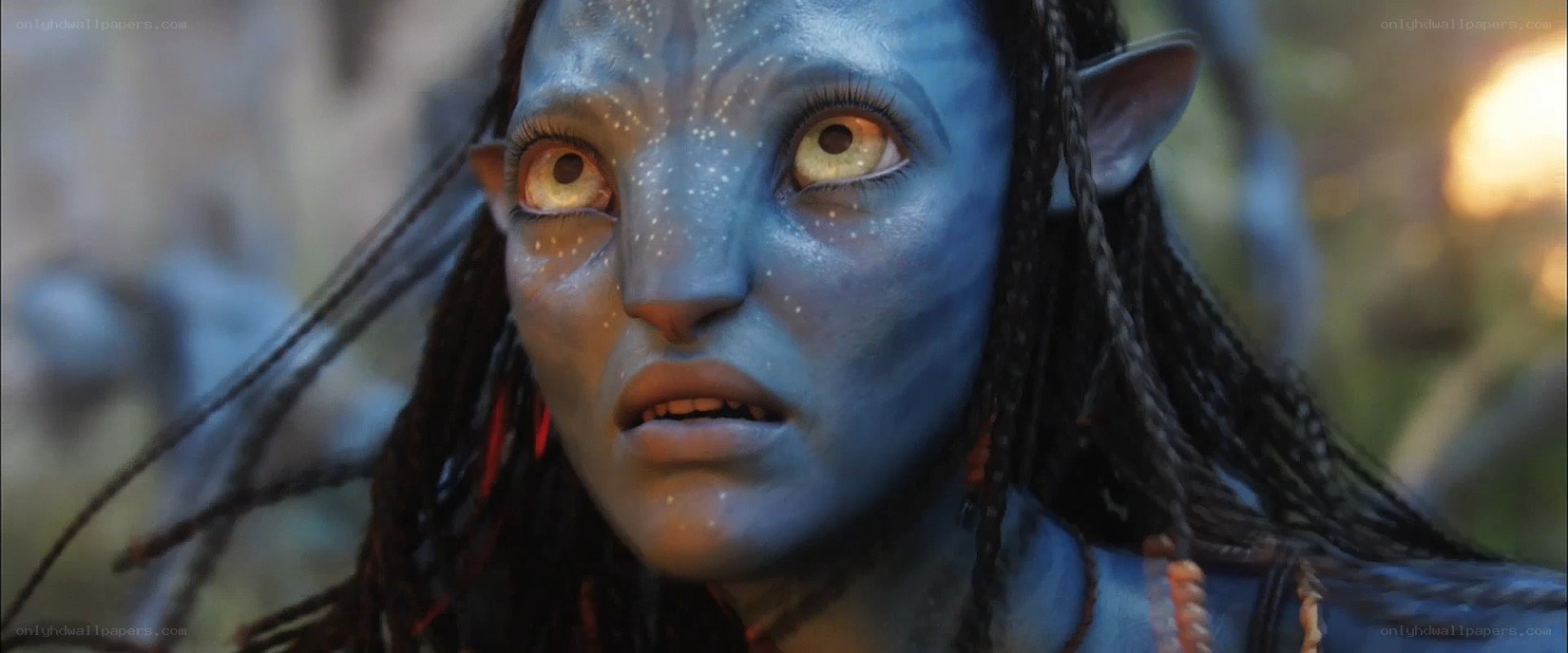 Na'vi character from Avatar