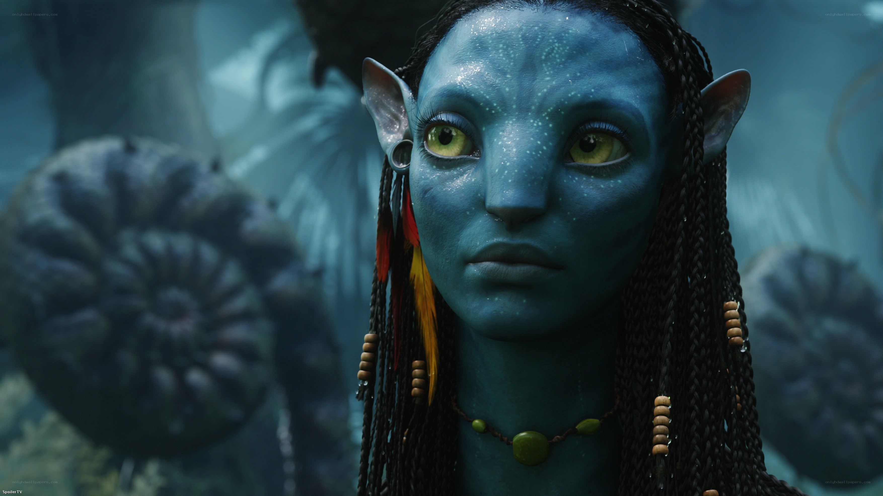 Na'vi character from Avatar