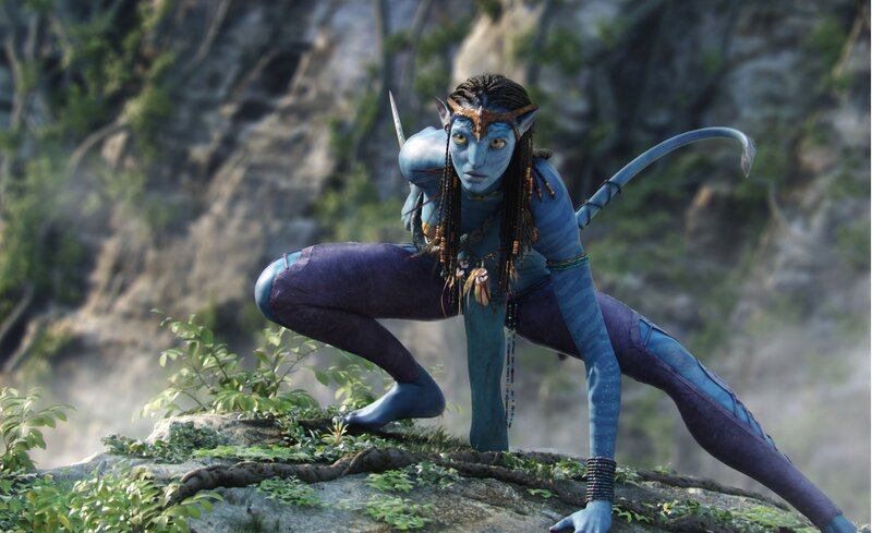 Na'vi warrior in combat stance