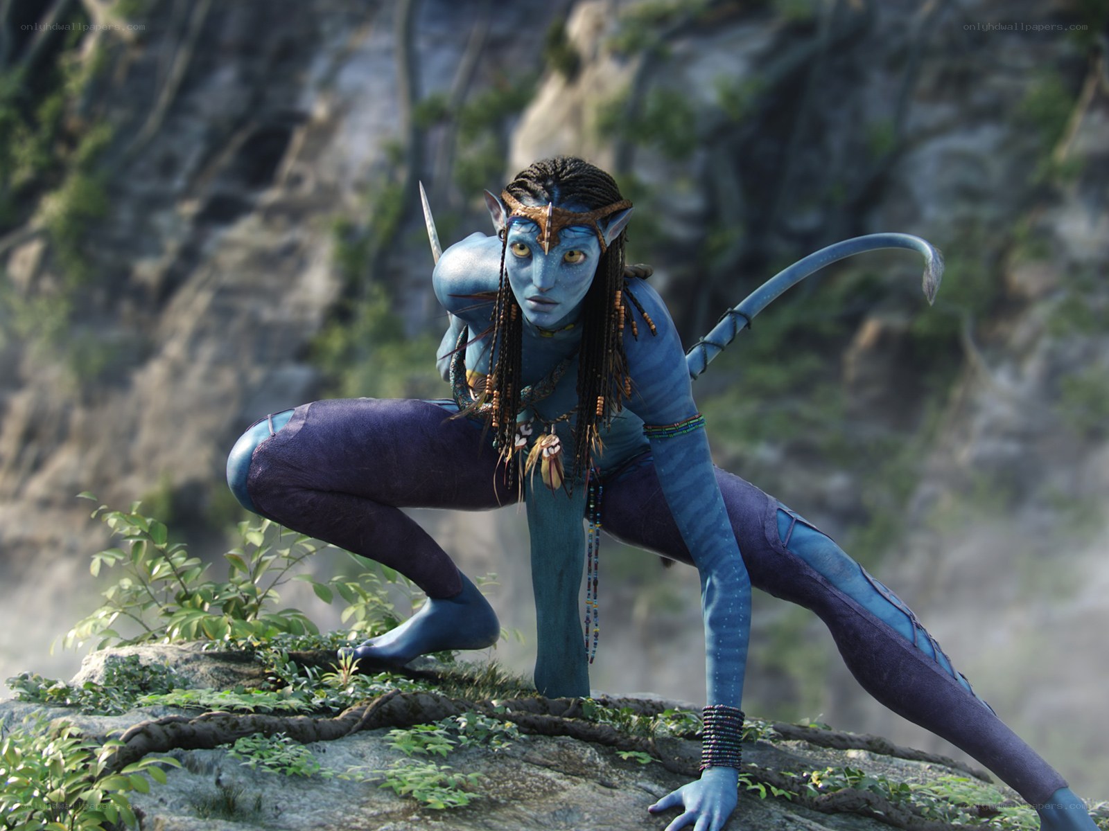 Na'vi warrior in combat stance