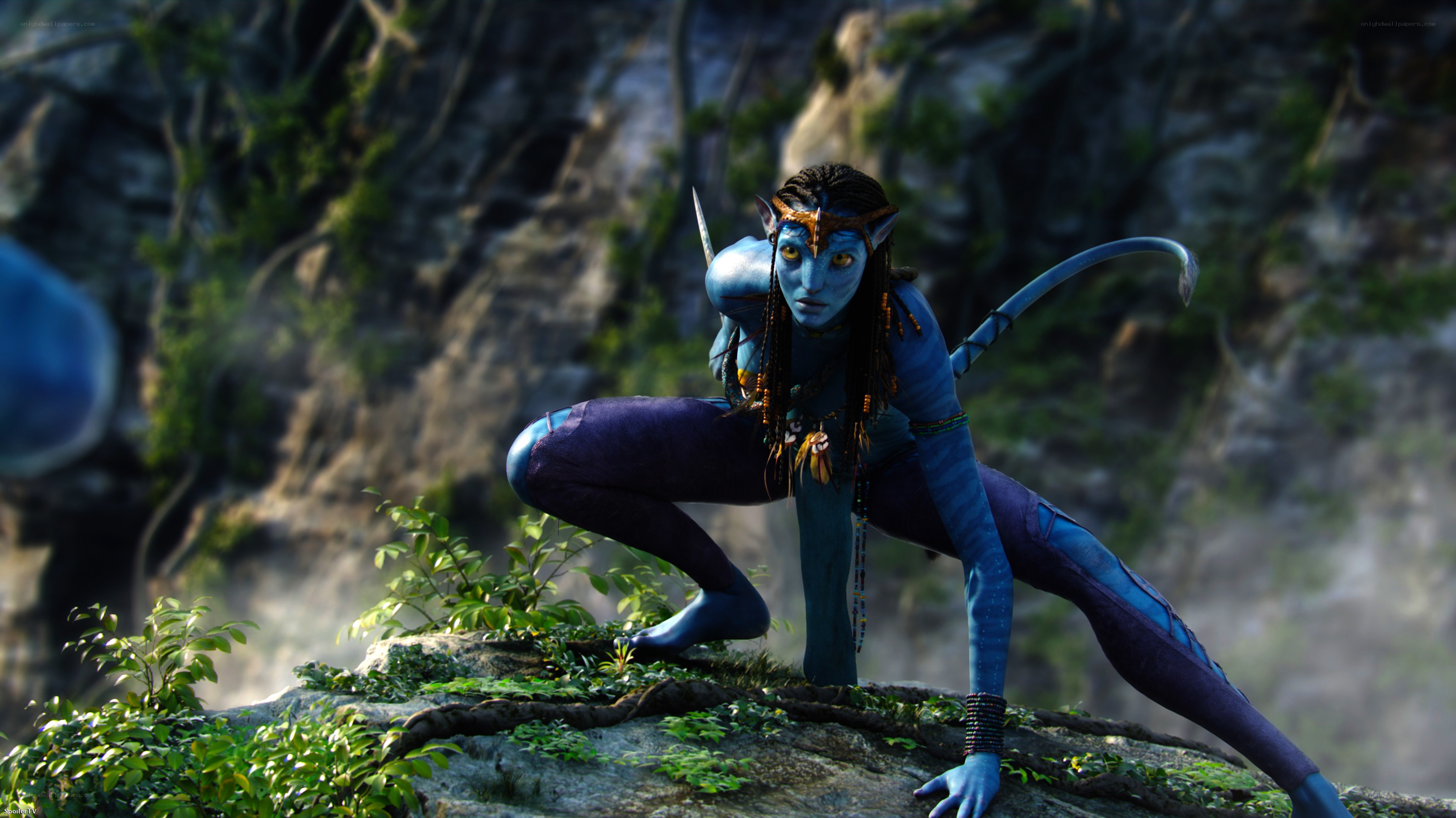 Na'vi warrior on a cliff
