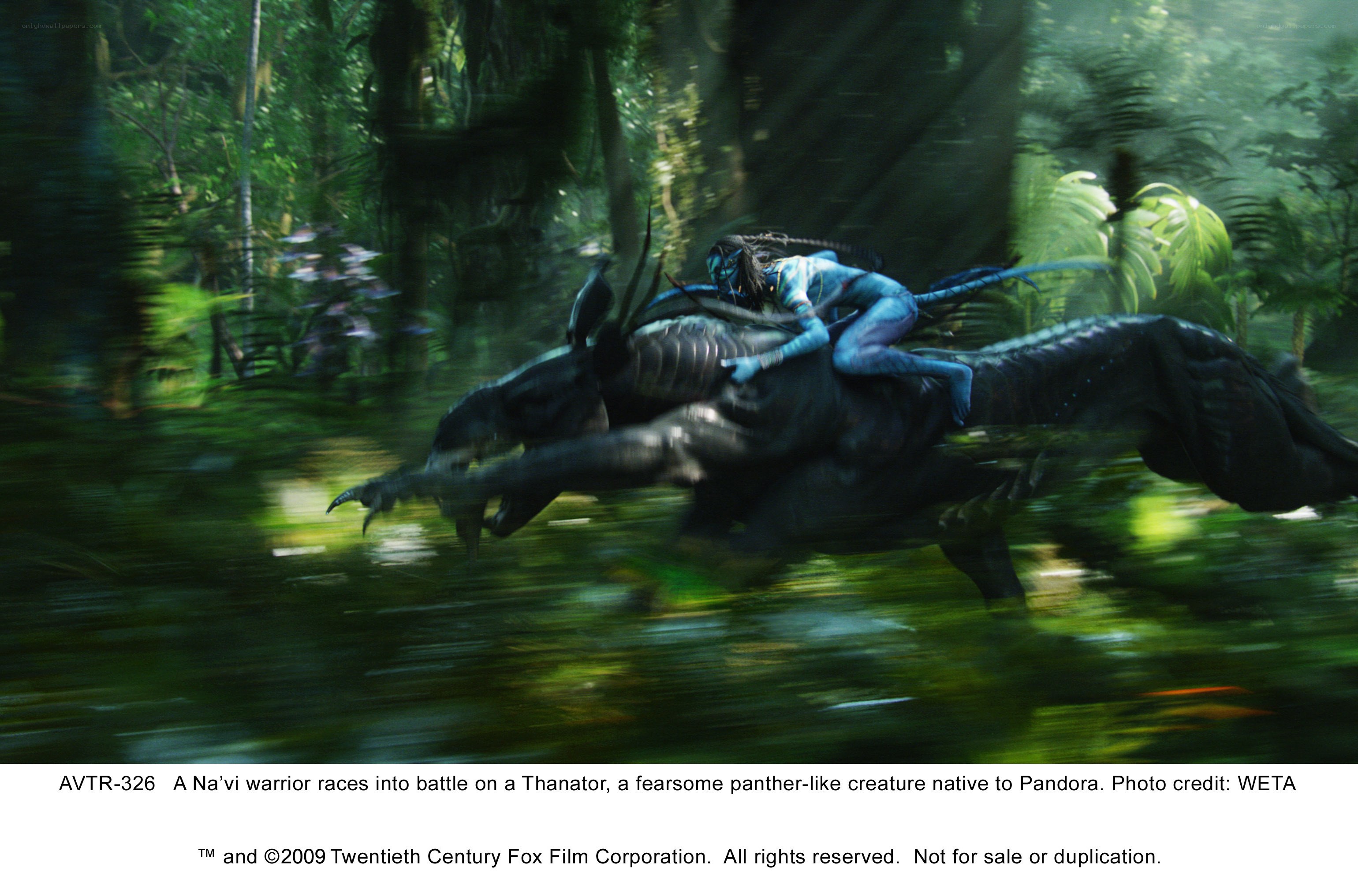 Na'vi warrior on Thanator