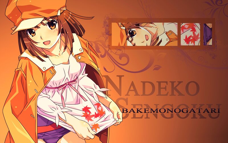 Nadeko Sengokutari character art