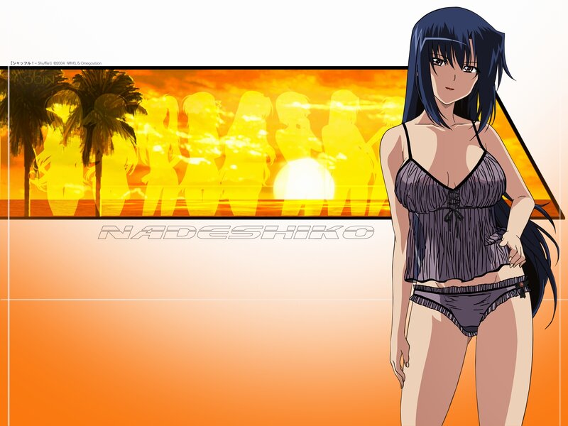 Nadeshiko in swimsuit at sunset
