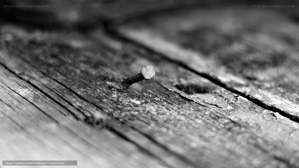 nail in weathered wood
