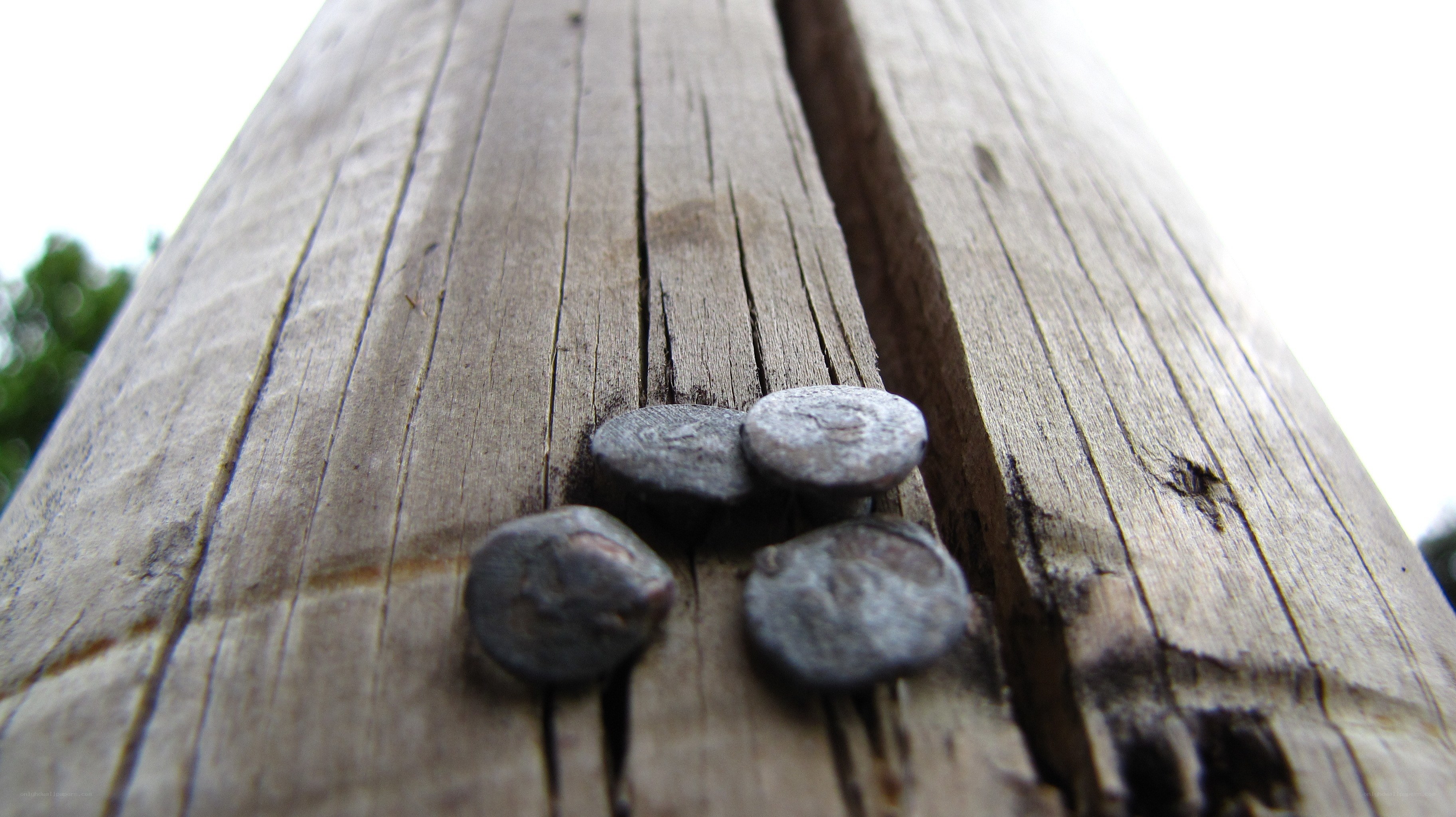 Nails in a wooden post