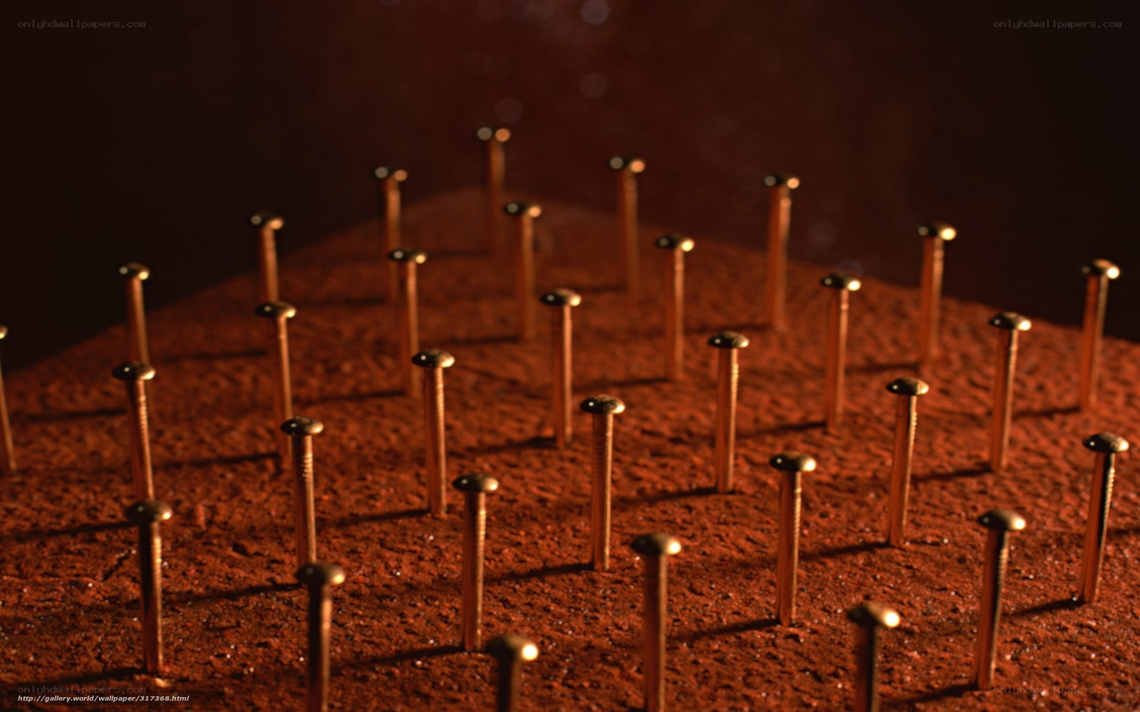 Nails on a wooden surface