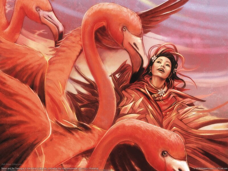 Nalani and the Flamingos