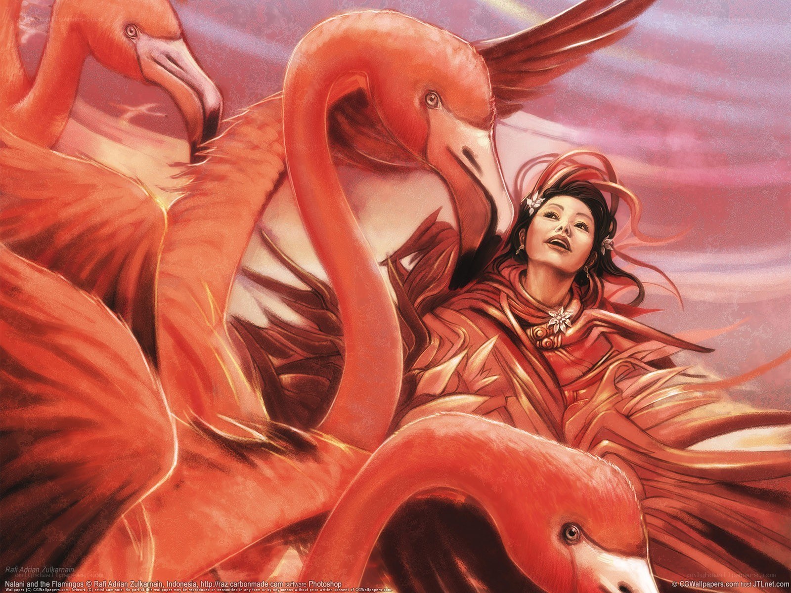 Nalani and the Flamingos