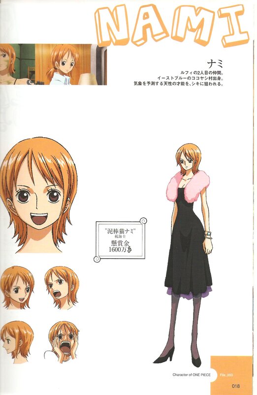 Nami Character Sheet