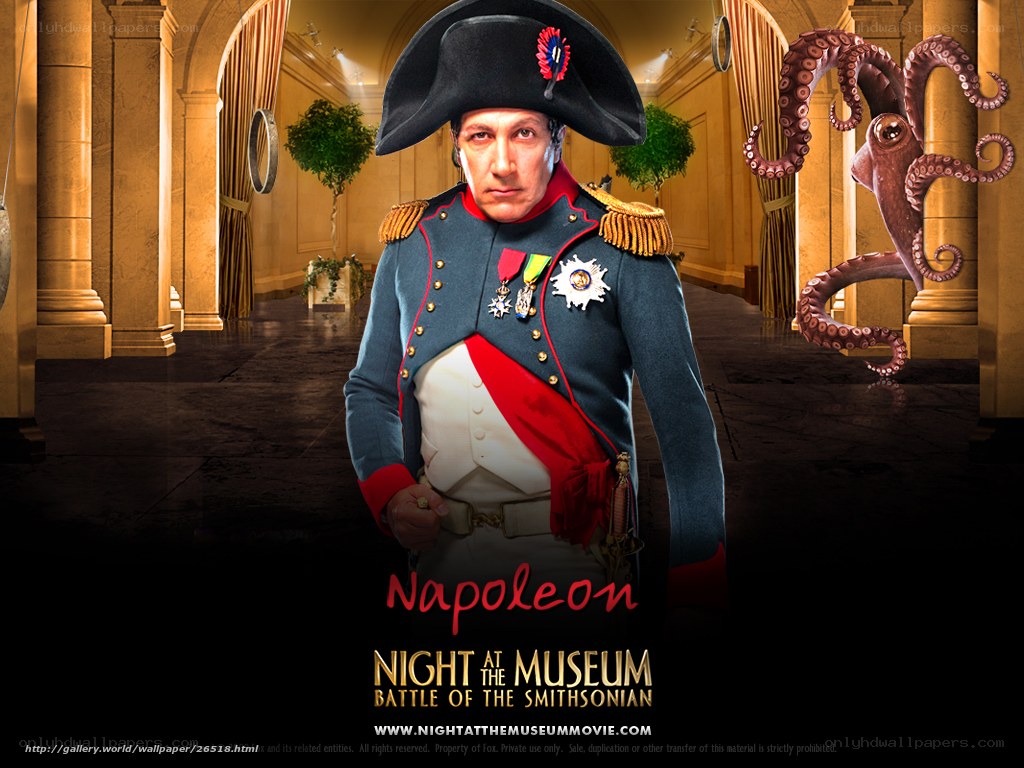 Napoleon in museum