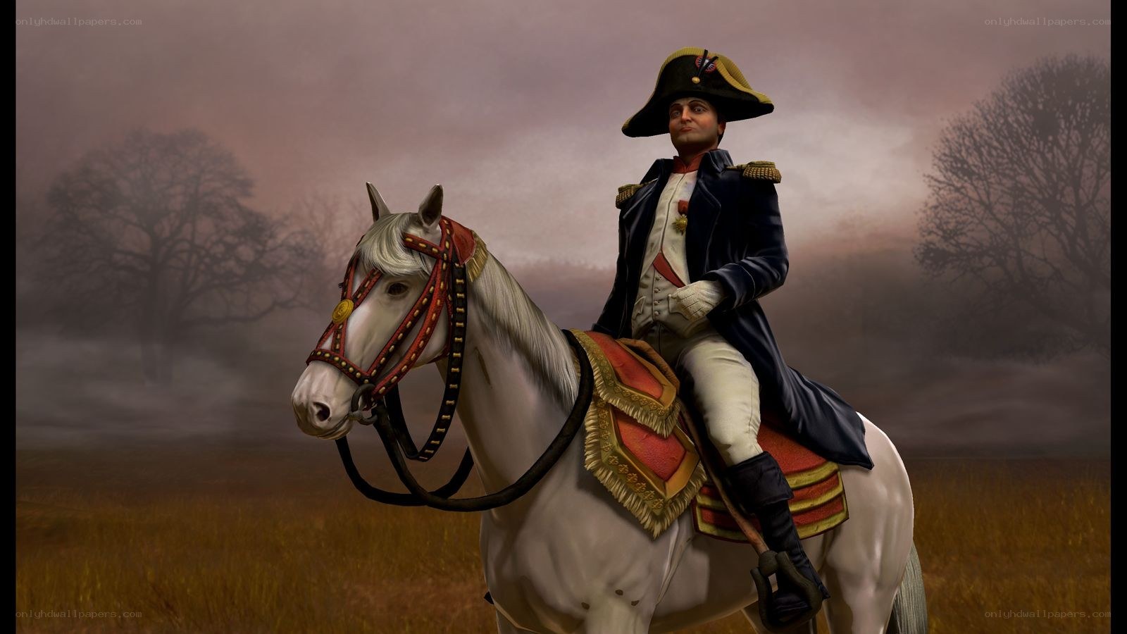 Napoleon on a white horse