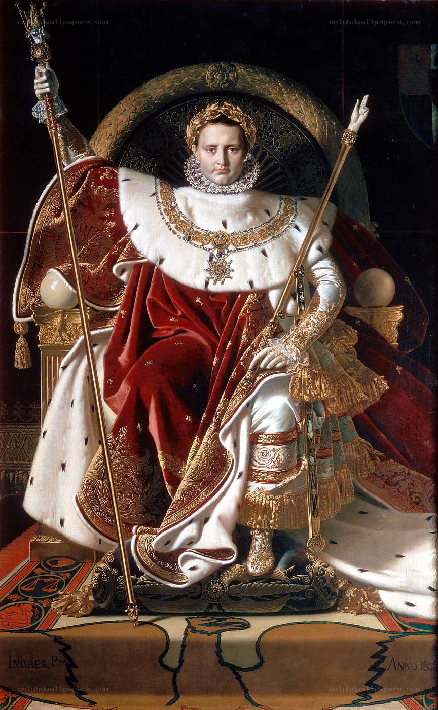 Napoleon's coronation portrait