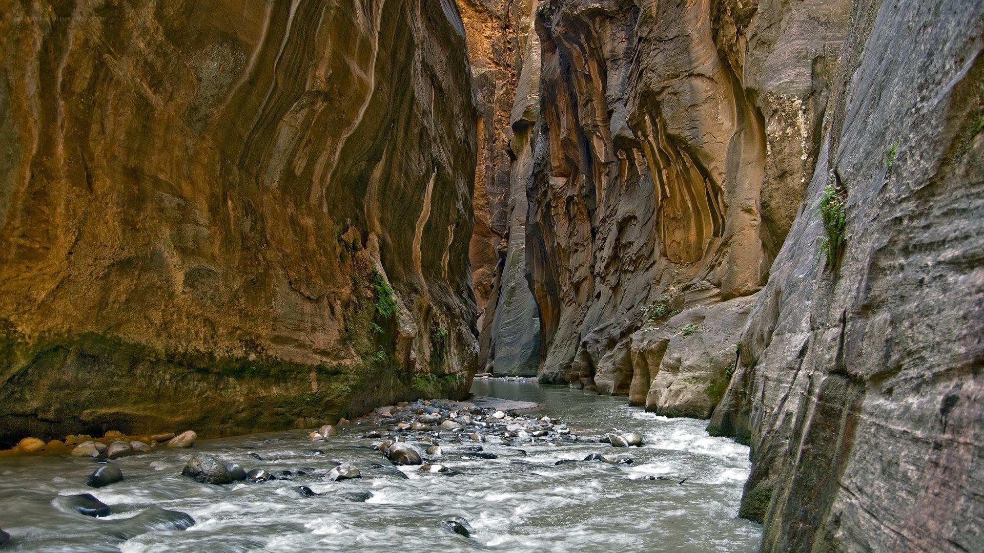 Narrow canyon with flowing river
