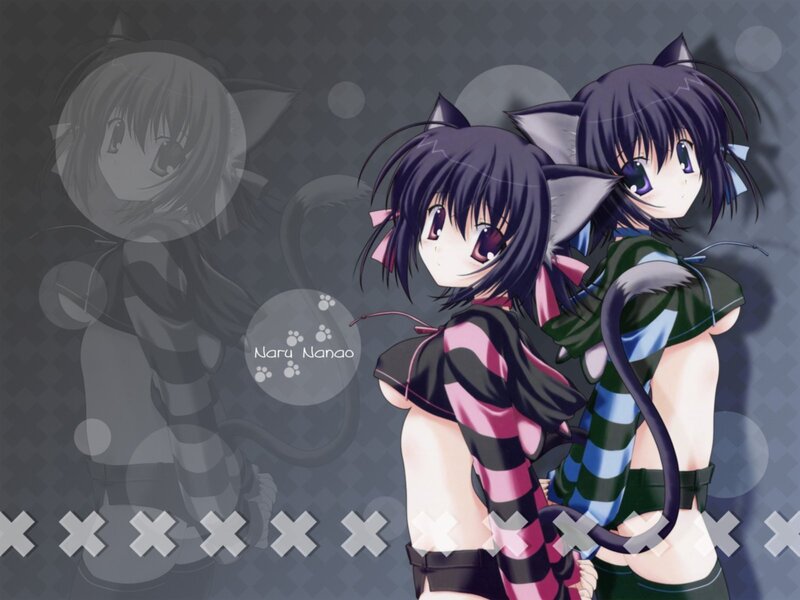 Naru and Nanao in cat ears