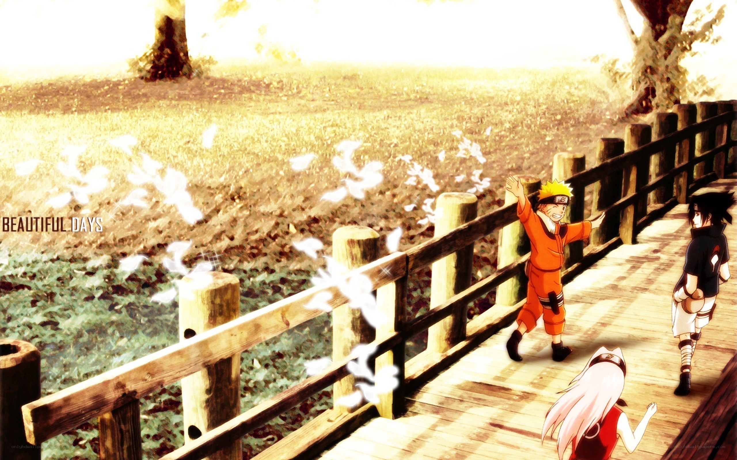 Naruto and friends on a bridge