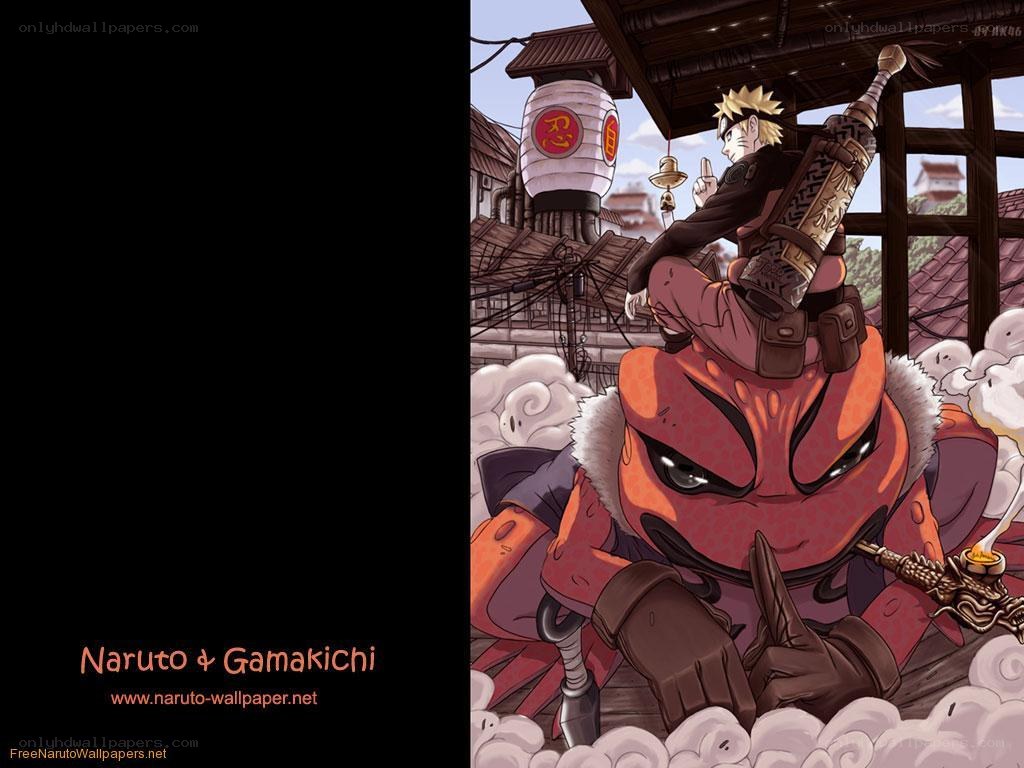Naruto and Gamakichi wallpaper