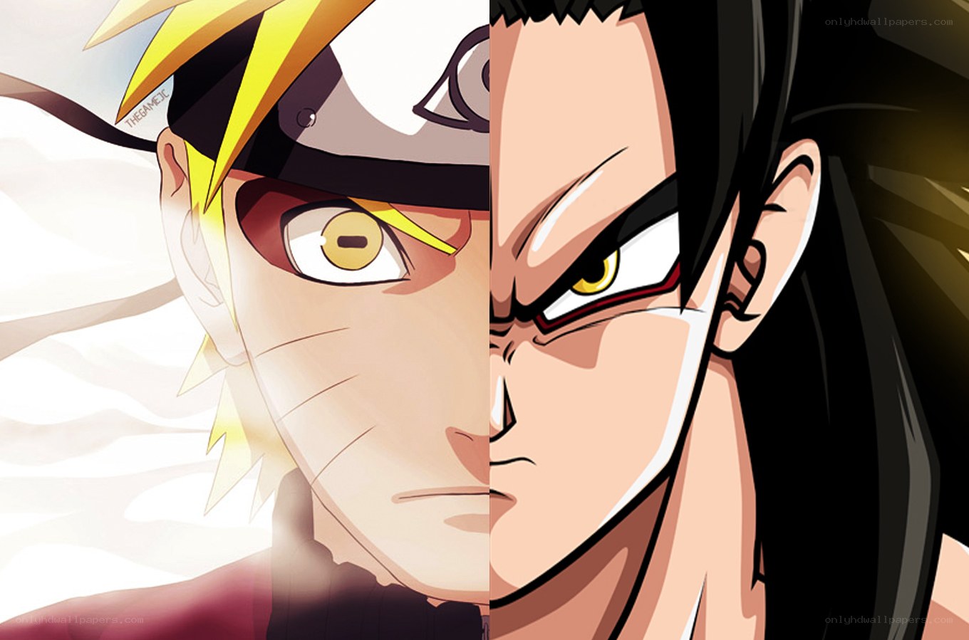 Naruto and Goku face-off
