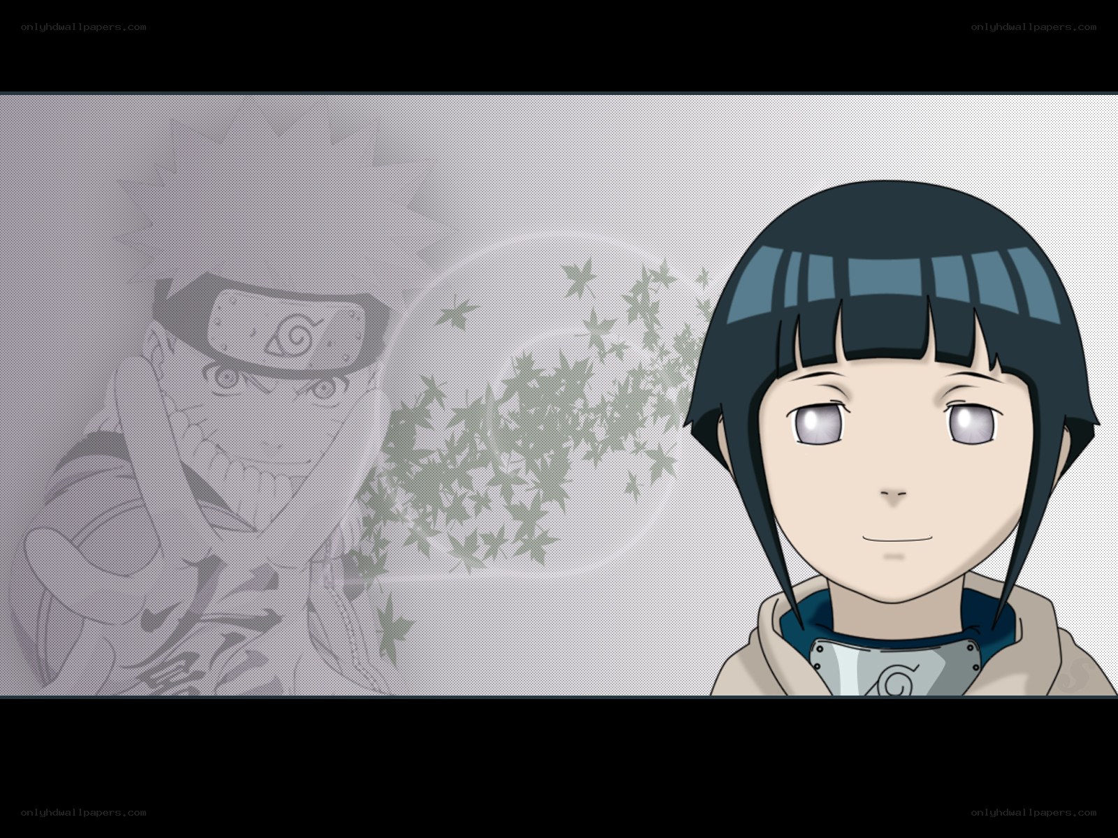 Naruto and Hinata characters