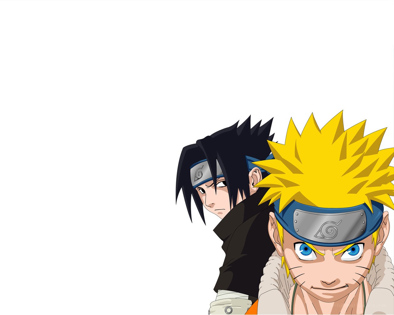 Naruto and Sasuke anime characters